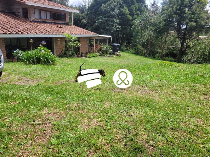 Finca en venta en Santa Elena, Medellín, 3330 m² · foto 7 de 8