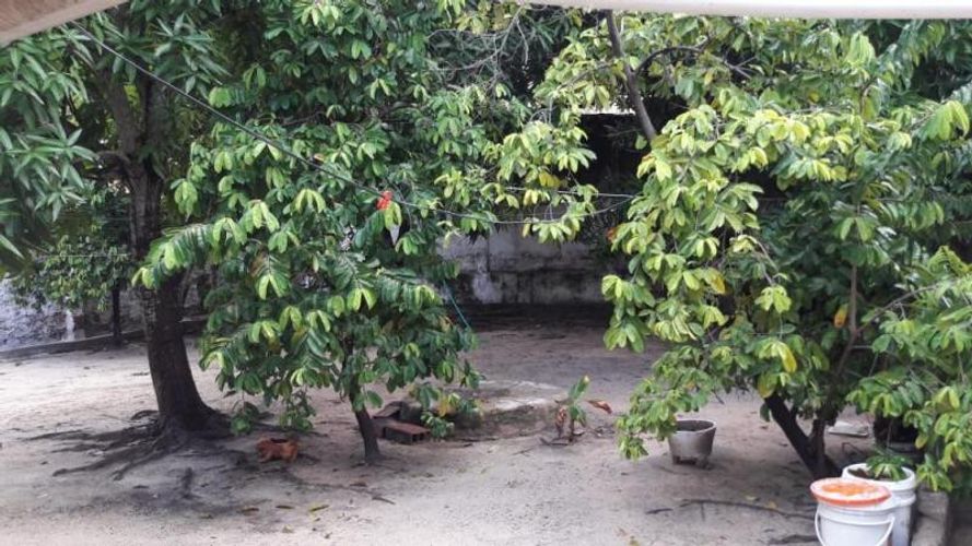 Casa de 6 alcobas en venta en San Jose, Barranquilla, 469 m² · foto 11 de 11