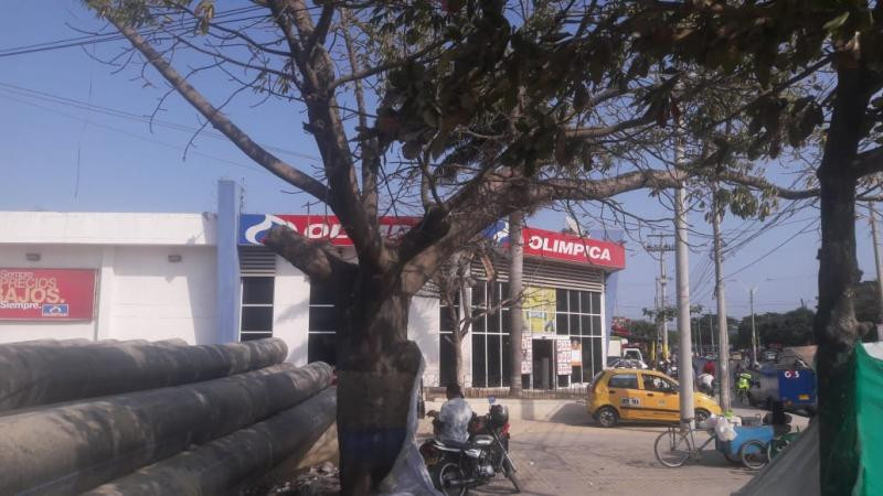 Casa en arriendo en Cordialidad, Barranquilla · foto 12 de 13