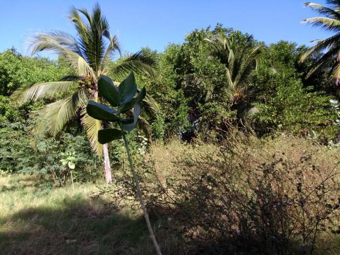 Lote en venta en Sabanilla, Puerto Colombia, 1400 m² · foto 3 de 6