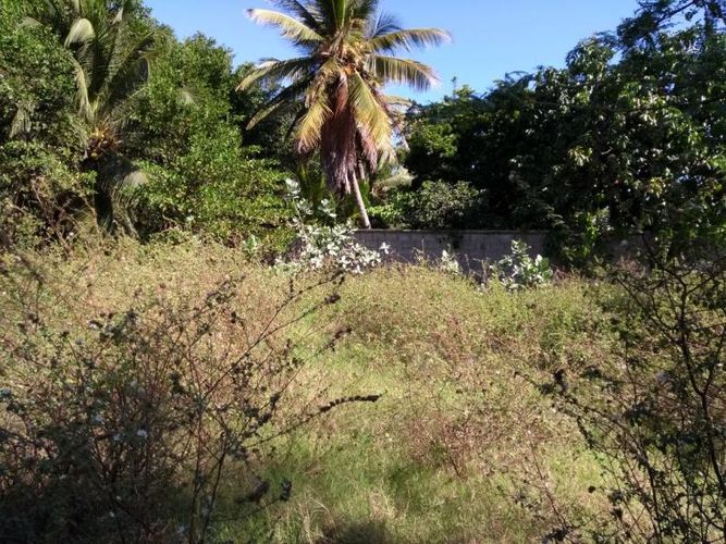 Lote en venta en Sabanilla, Puerto Colombia, 1400 m² · foto 5 de 6