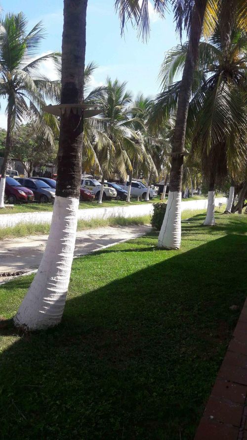 Lote en venta en La Esperanza, Barranquilla, 25454 m² · foto 19 de 23