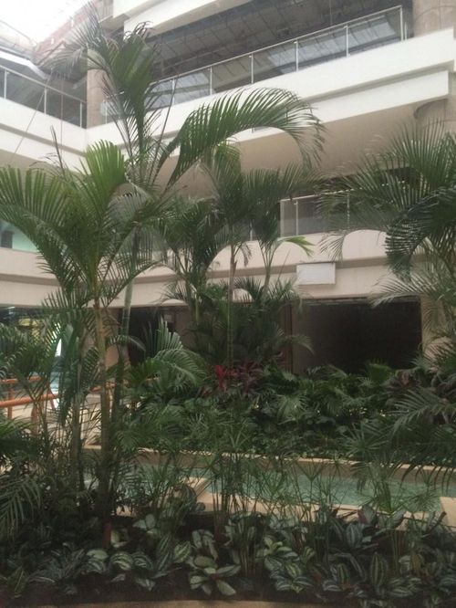 Local en arriendo en Cr.La Castellana, Barranquilla, 36 m² · foto 4 de 9