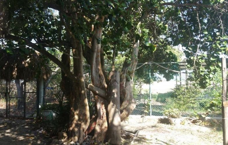 Lote en venta en Pradomar, Puerto Colombia, 1656 m² · foto 4 de 6