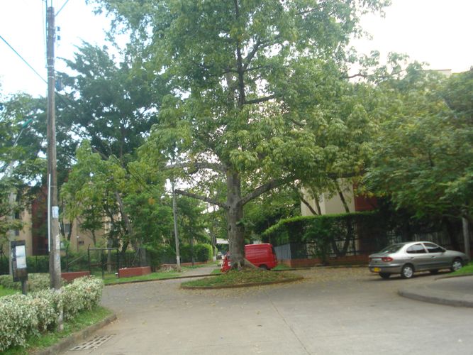 Apartamento de 4 alcobas en venta en Camino Real, Cali, 75 m² · foto 10 de 10