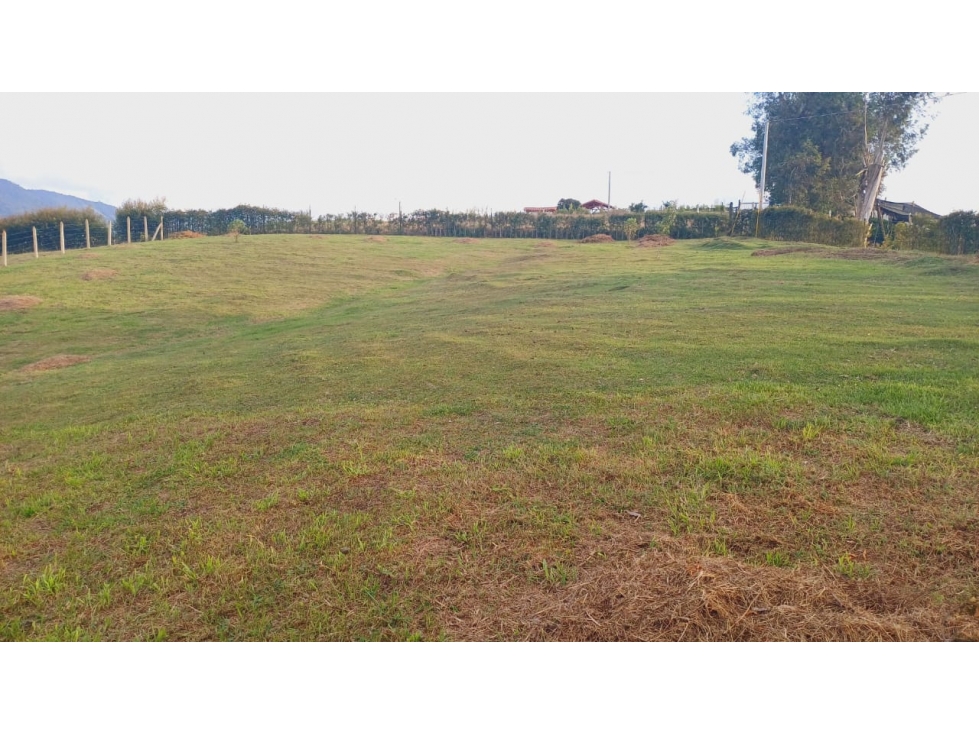 Lote en venta en El Carmen De Viboral, El Carmen de Viboral, 2133 m² · foto 5 de 7