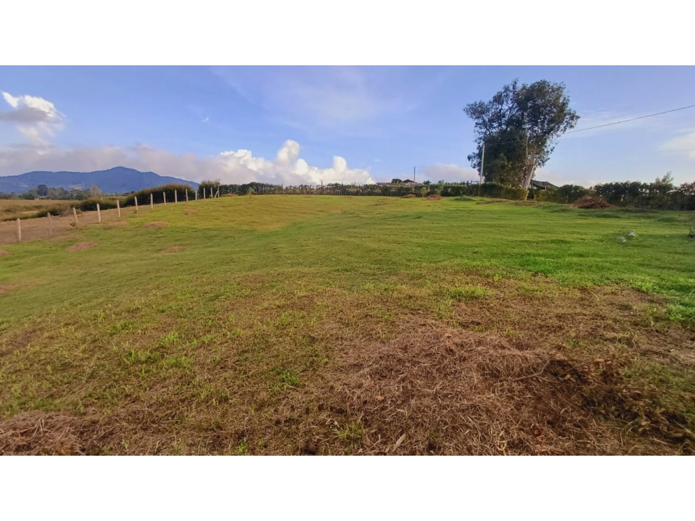 Lote en venta en El Carmen De Viboral, El Carmen de Viboral, 2133 m² · foto 7 de 7