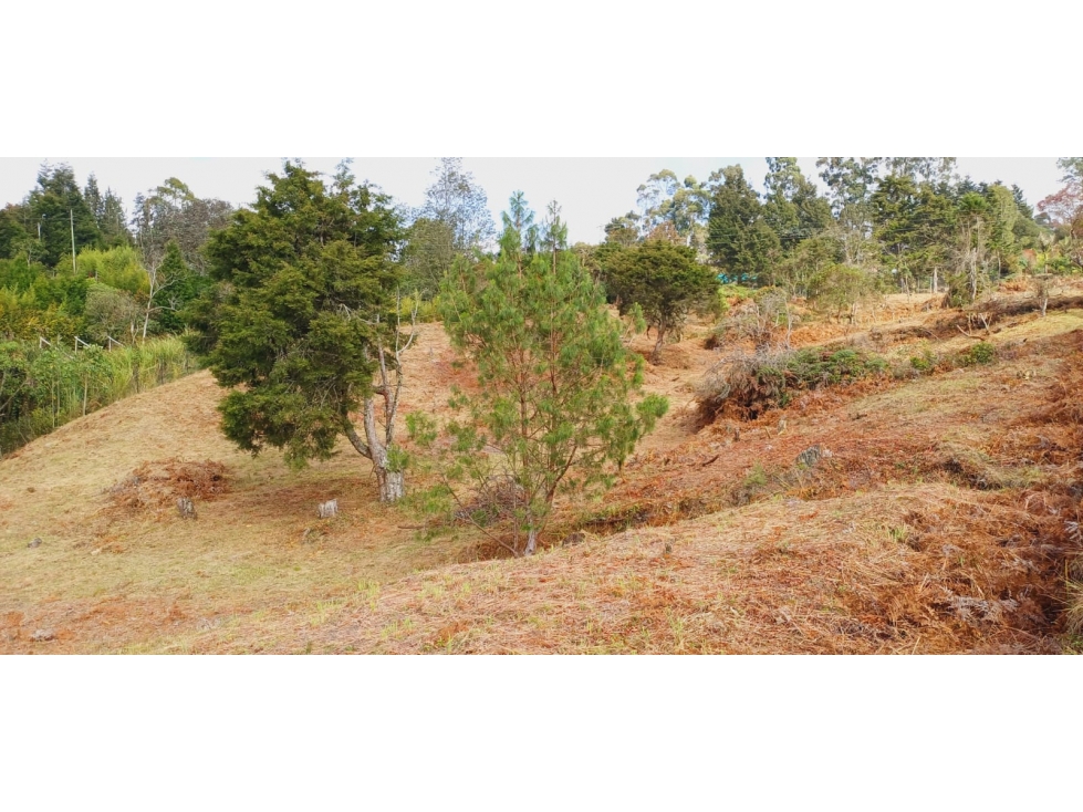 Lote en venta en Piedras Blancas, Rionegro · foto 7 de 8