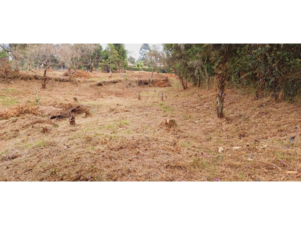 Lote en venta en Piedras Blancas, Rionegro · foto 8 de 8