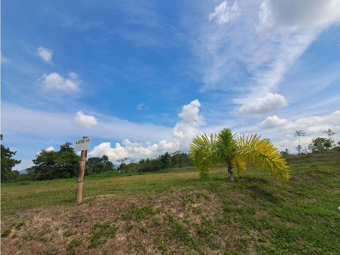 Lote en venta en Condina, Pereira, 3230 m² · foto 2 de 10