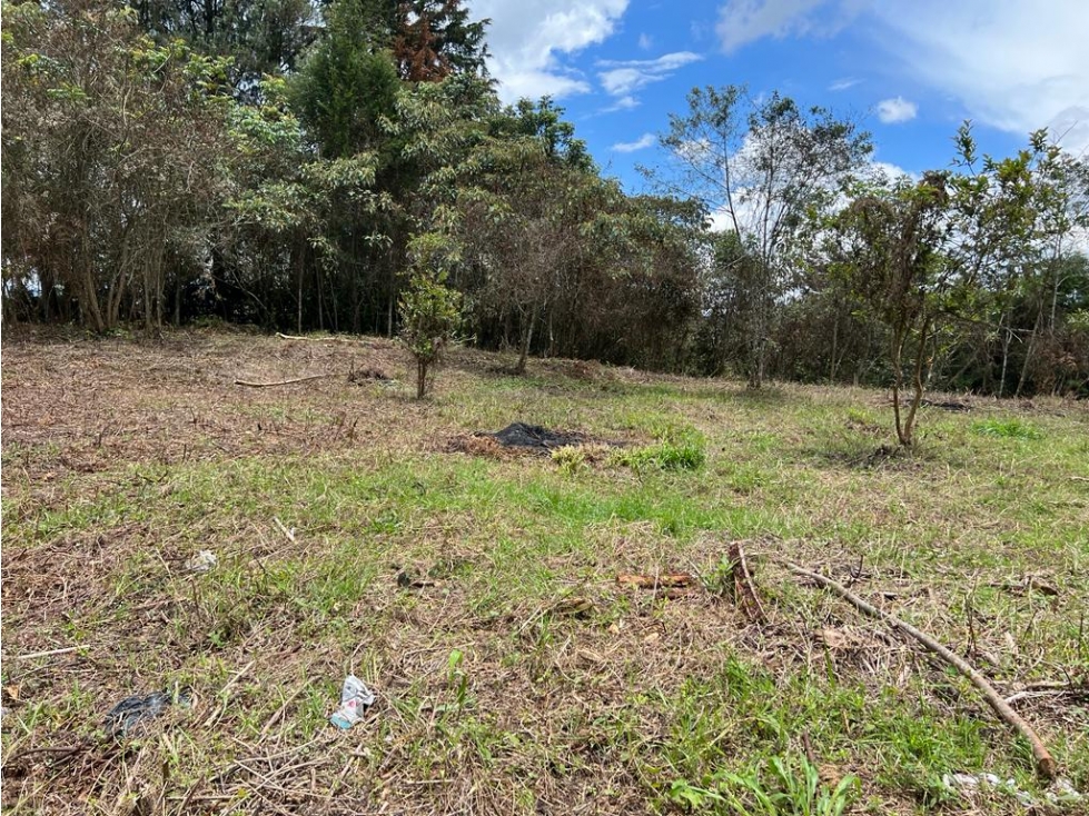 Land in Galicia for Sale - 2