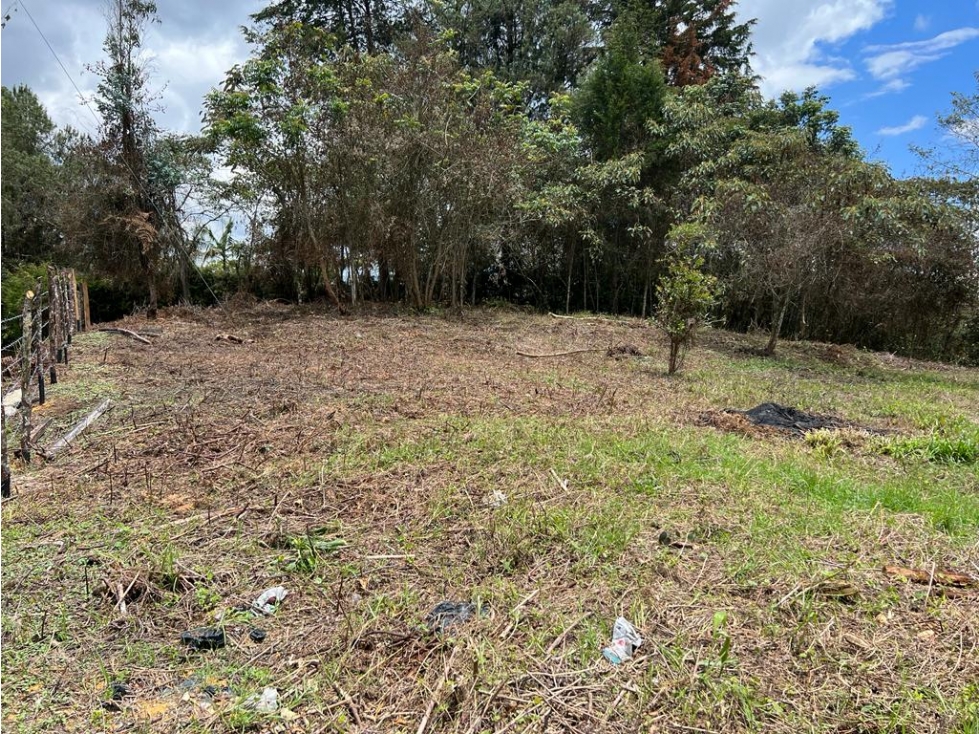 Land in Galicia for Sale - 3