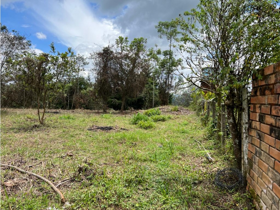 Land in Galicia for Sale - 4