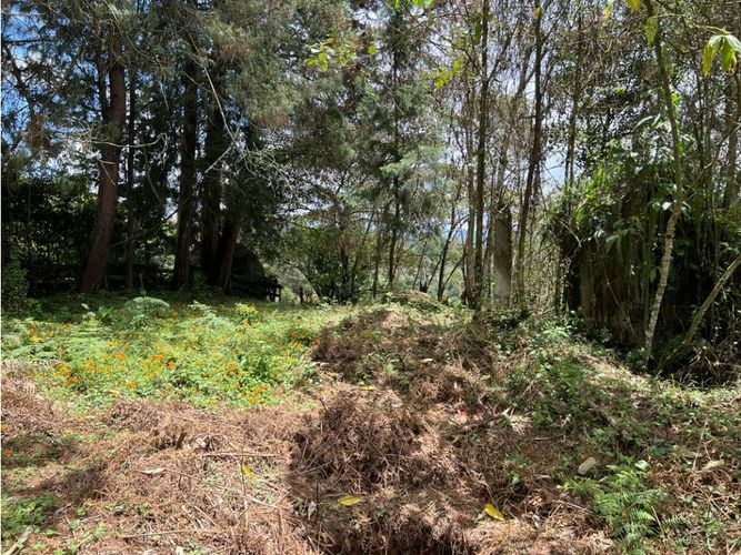 Lote en venta en Galicia, Rionegro, 7950 m² · foto 5 de 6
