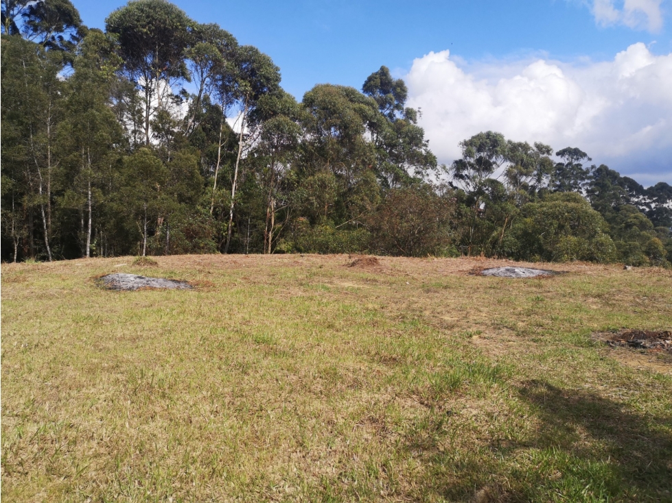 Lote en Venta en Rionegro - 3