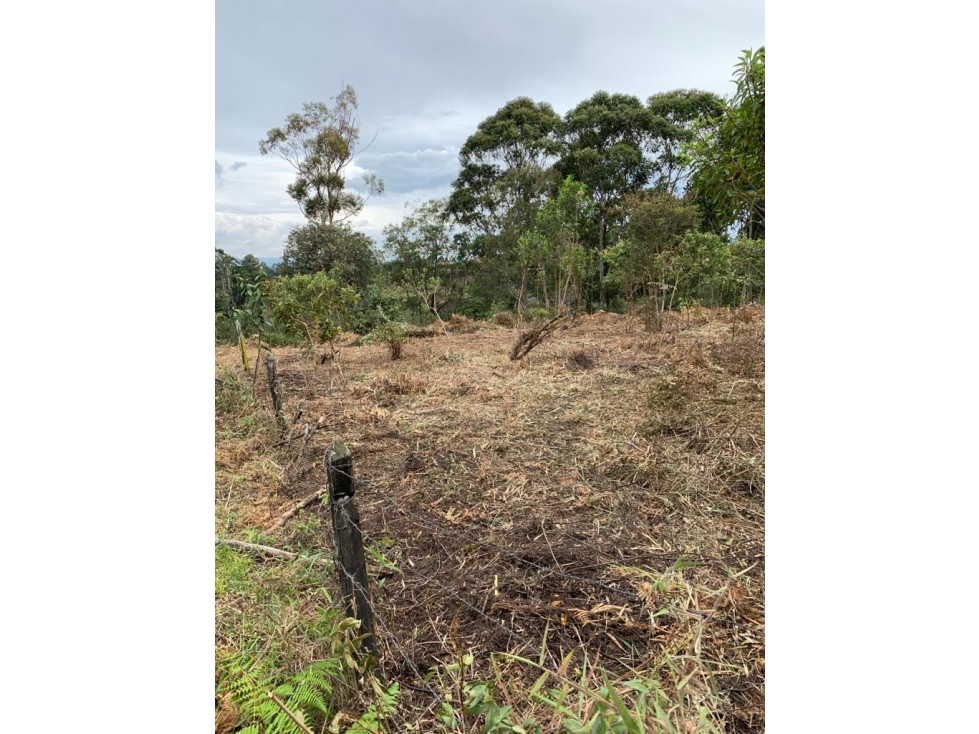 Lote en Venta en Rionegro