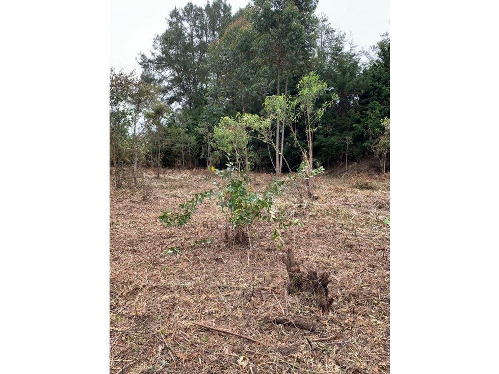 Lote en Venta en Rionegro - 2