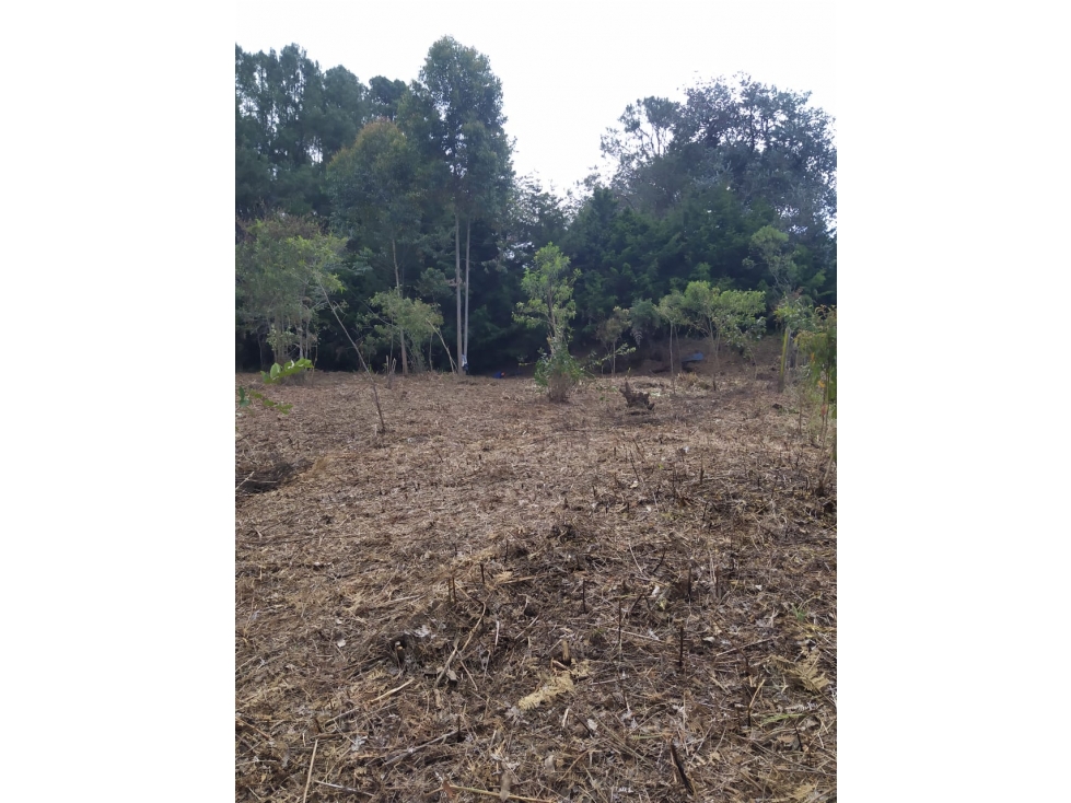 Lote en Venta en Rionegro - 3