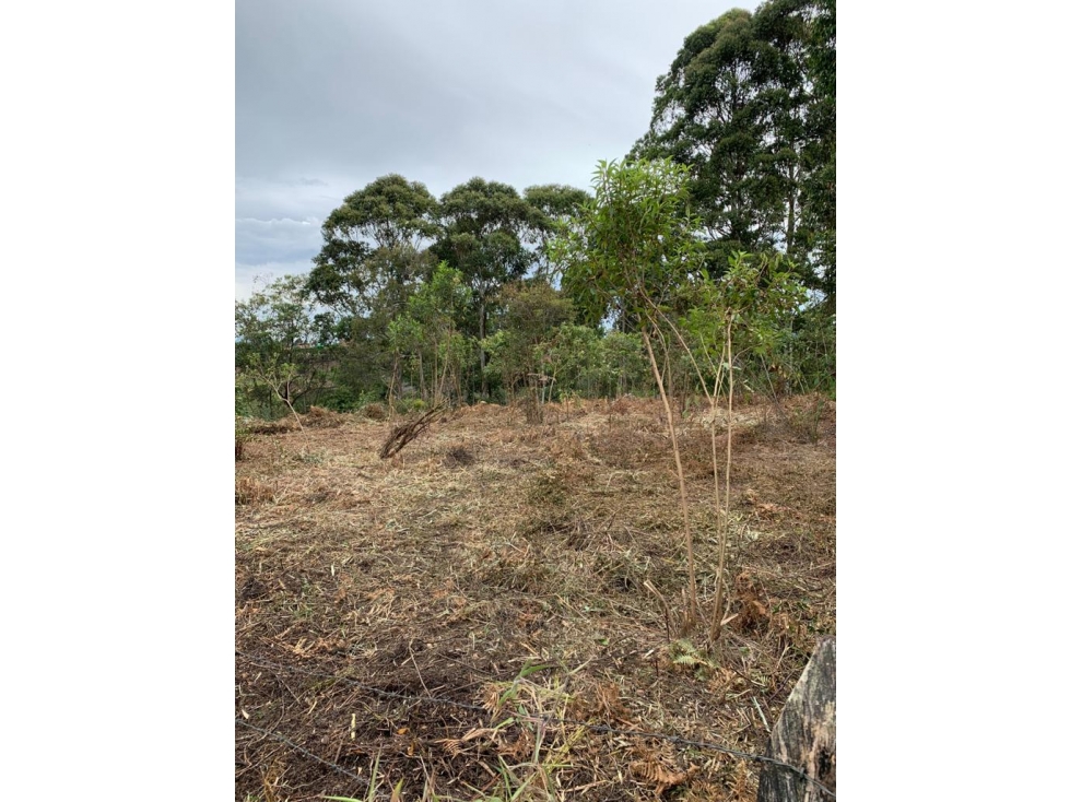 Lote en Venta en Rionegro - 4