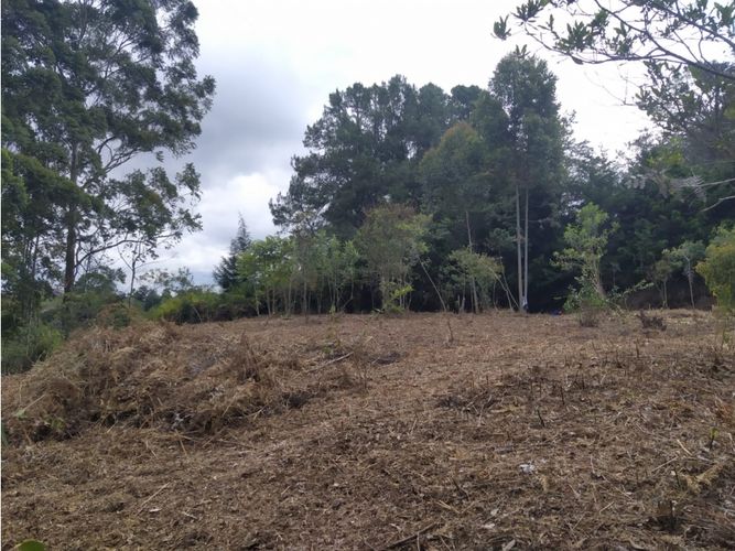 Lote en venta en Galicia, Rionegro, 9258 m² · foto 5 de 6
