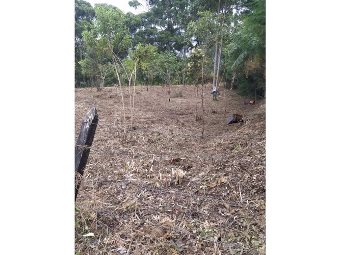 Lote en venta en Galicia, Rionegro, 9258 m² · foto 6 de 6
