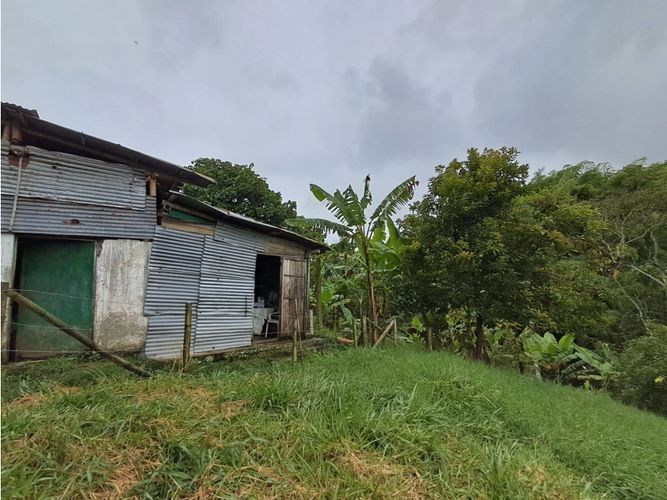 Finca en venta en Combia, Pereira, 500 m² · foto 8 de 23