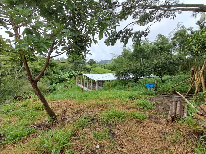 Finca en venta en Combia, Pereira, 500 m² · foto 14 de 23