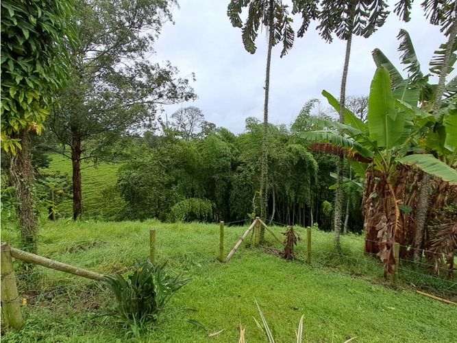 Finca en venta en Combia, Pereira, 500 m² · foto 15 de 23