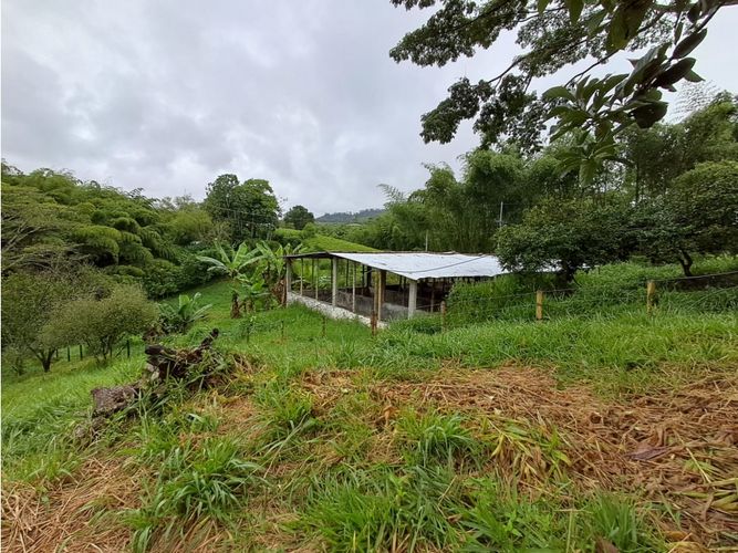Finca en venta en Combia, Pereira, 500 m² · foto 16 de 23