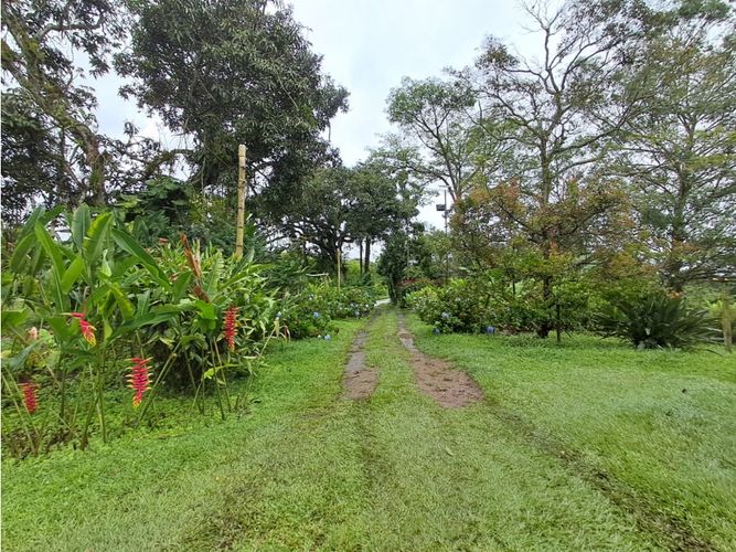 Finca en venta en Combia, Pereira, 500 m² · foto 20 de 23