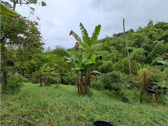 Finca en venta en Combia, Pereira, 500 m² · foto 22 de 23