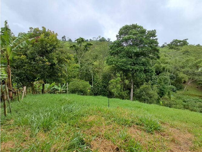 Finca en venta en Combia, Pereira, 500 m² · foto 23 de 23
