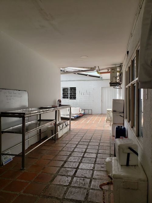 Casa de 19 alcobas en venta en Bretaña, Cali, 250 m² · foto 14 de 24