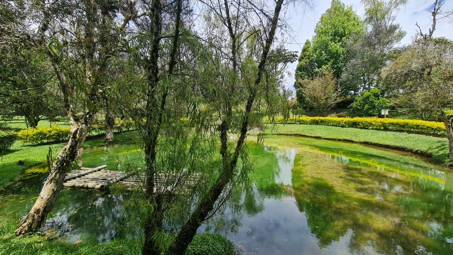 Lote en venta en El Porvenir, Rionegro, 2456 m² · foto 3 de 9