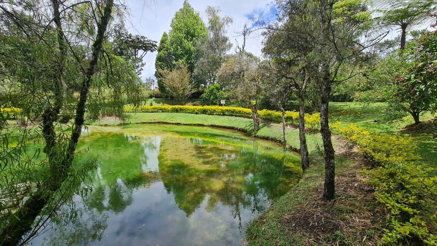 Lote en venta en El Porvenir, Rionegro, 2456 m² · foto 4 de 9