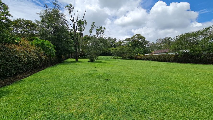 Lote en venta en El Porvenir, Rionegro, 2456 m² · foto 5 de 9