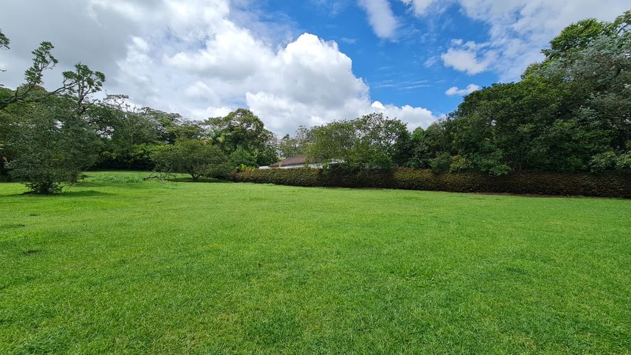 Lote en venta en El Porvenir, Rionegro, 2456 m² · foto 6 de 9