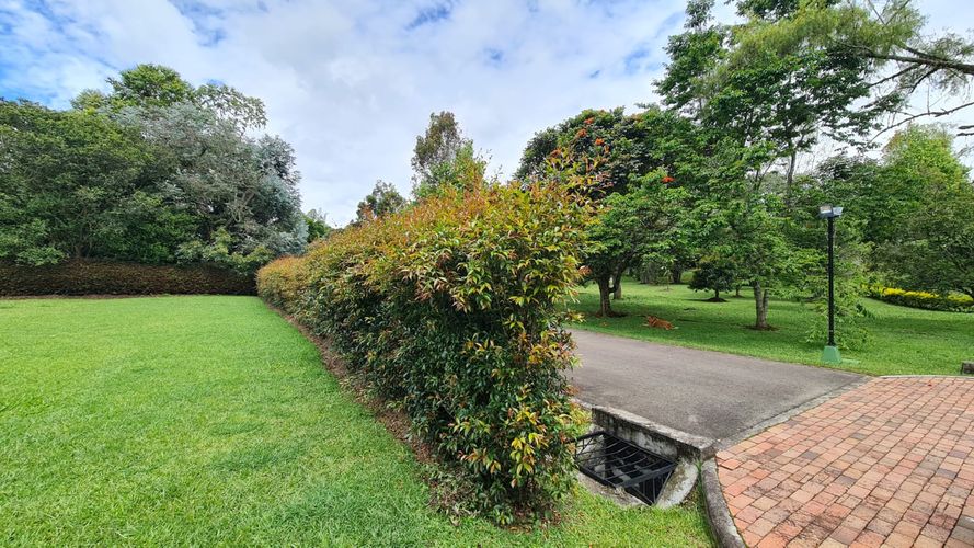 Lote en venta en El Porvenir, Rionegro, 2456 m² · foto 8 de 9