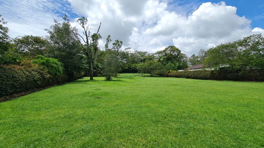 Lote en venta en El Porvenir, Rionegro, 2456 m² · foto 9 de 9