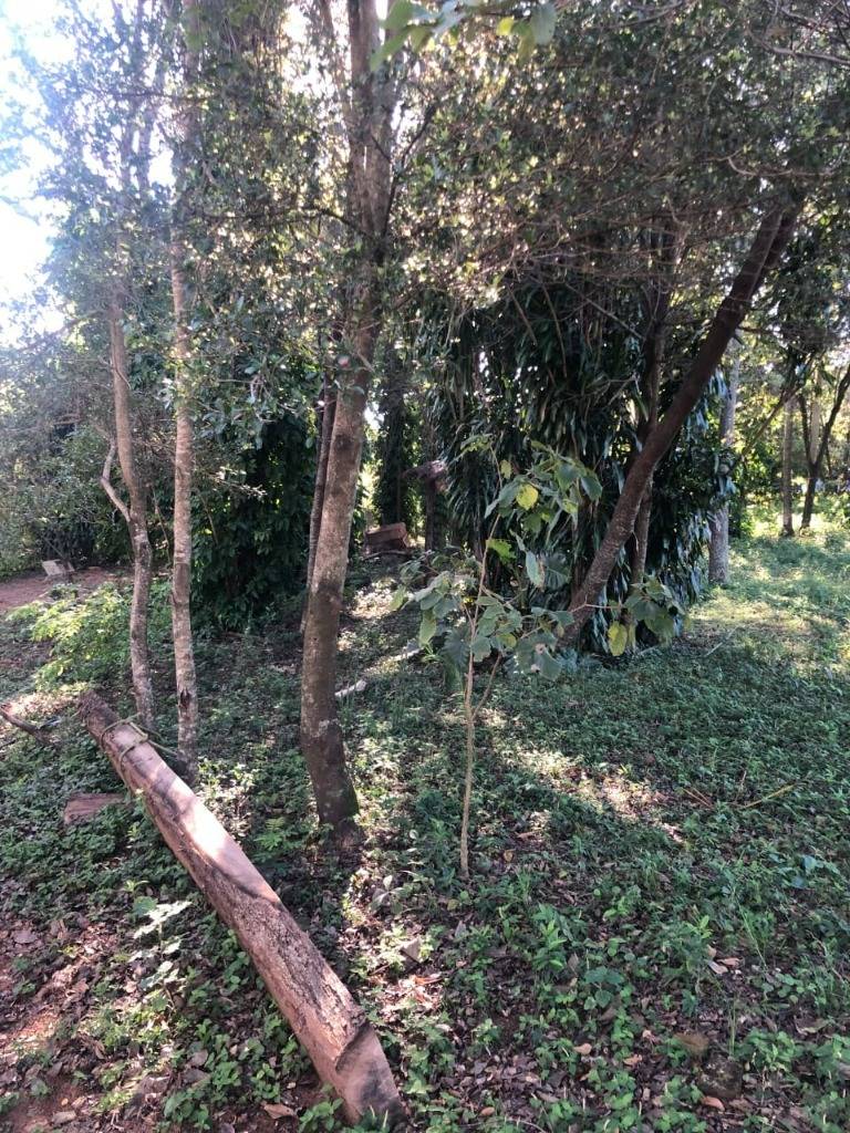 VENDO 6 HECTAREAS EN ATYRA — foto 3