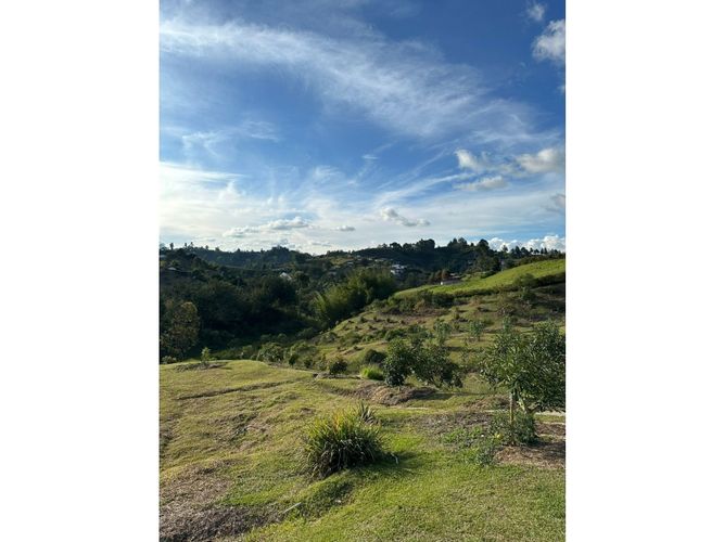 Lote en venta en Rio Abajo, Rionegro, 98700 m² · foto 3 de 9