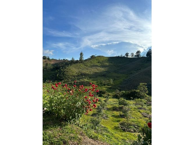 Lote en venta en Rio Abajo, Rionegro, 98700 m² · foto 5 de 9