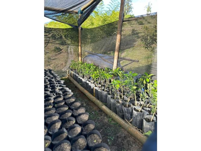 Lote en venta en Rio Abajo, Rionegro, 98700 m² · foto 8 de 9