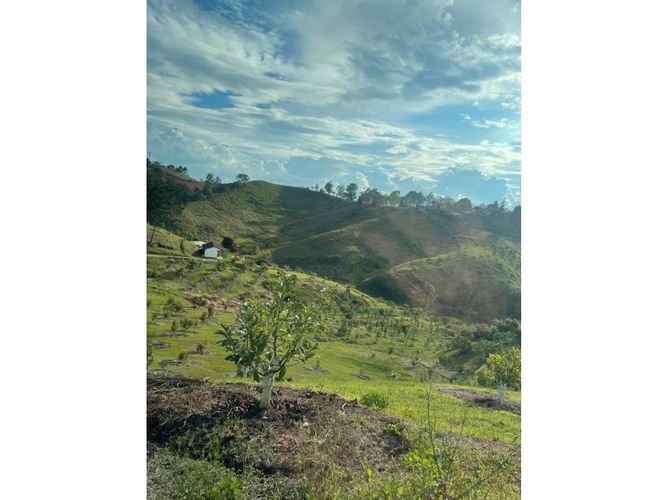 Lote en venta en Rio Abajo, Rionegro, 98700 m² · foto 9 de 9