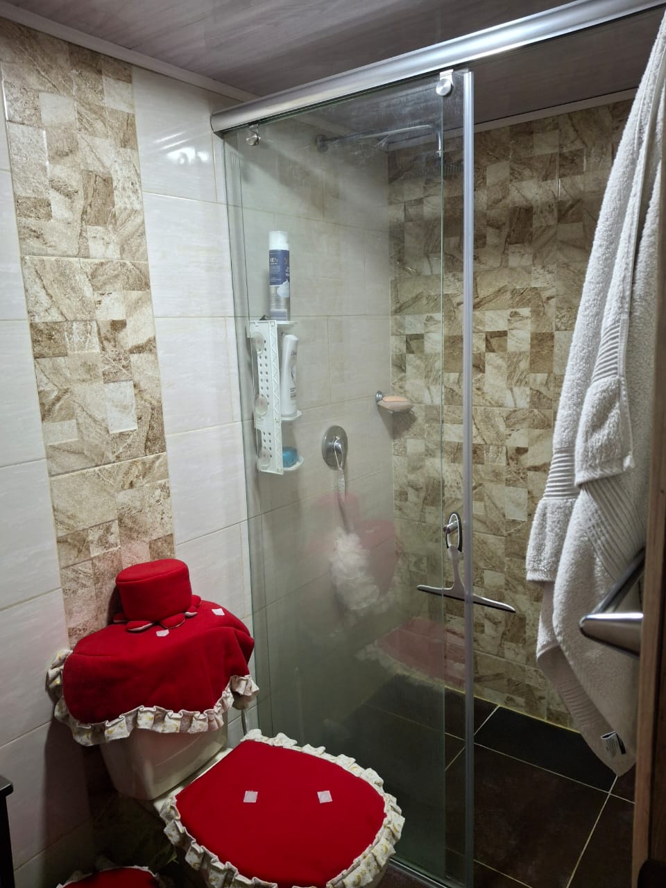 Casa en venta en Nuevo Muzu, Bogotá · foto 10 de 17