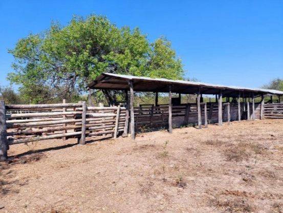 VENTA DE ESTANCIA – CHACO PARAGUAYO — foto 3