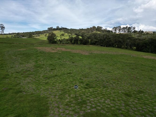 Lote en venta en Las Palmas, Envigado, 2000 m² · foto 3 de 12
