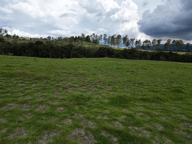 Lote en venta en Las Palmas, Envigado, 2000 m² · foto 7 de 12