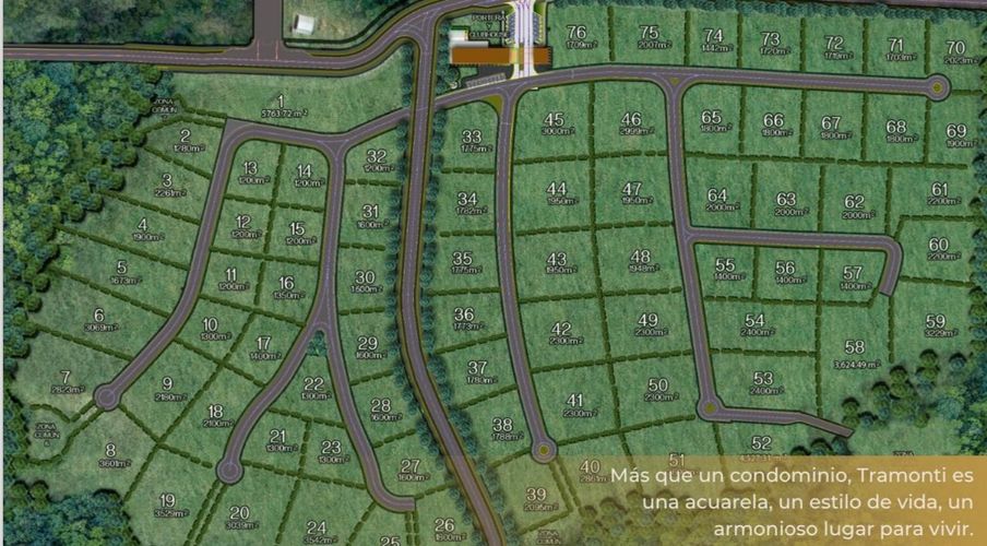 Lote en venta en Las Palmas, Envigado, 2000 m² · foto 8 de 12