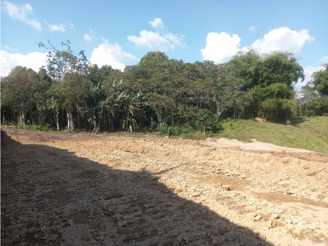 Lote en venta en Hojas Anchas, Armenia, 3000 m² · foto 9 de 17